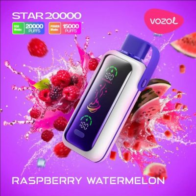 Vozol STAR 20K(20000) Puffs Full-Screen Display 24mL E-liquid 5% (50mg) Nicotine USB Type-C Charging Disposable Vape